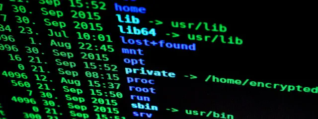 The Terminal